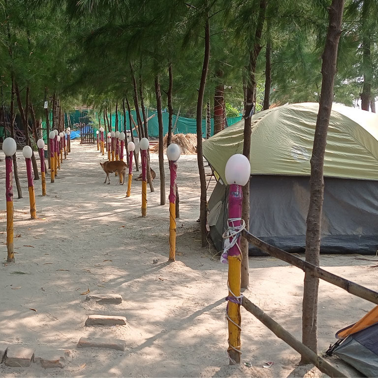 mousuni teentara camp ground